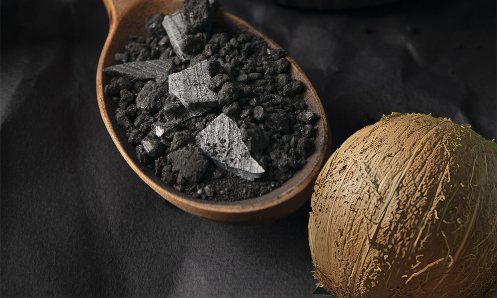 coconut shell activated carbon Southern Carbon