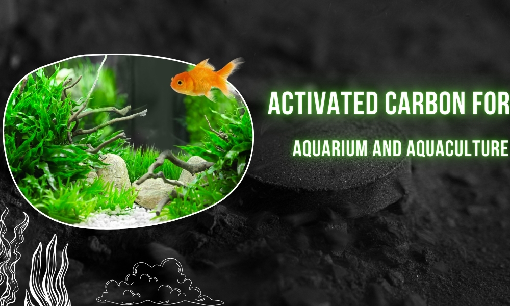 Activated Carbon for Aquarium and Aquaculture