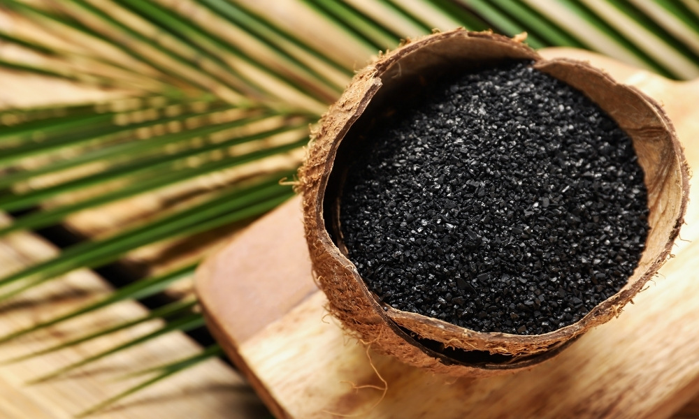 Health Benefits of Coconut Shell Activated Carbon