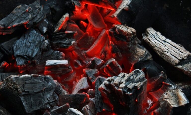 Which type of charcoal is the most suitable for bleaching?