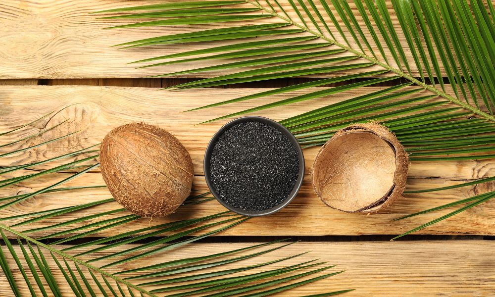 Coconut Shell Activated Carbon Turning Waste Into High Value Material 1 Southern Carbon