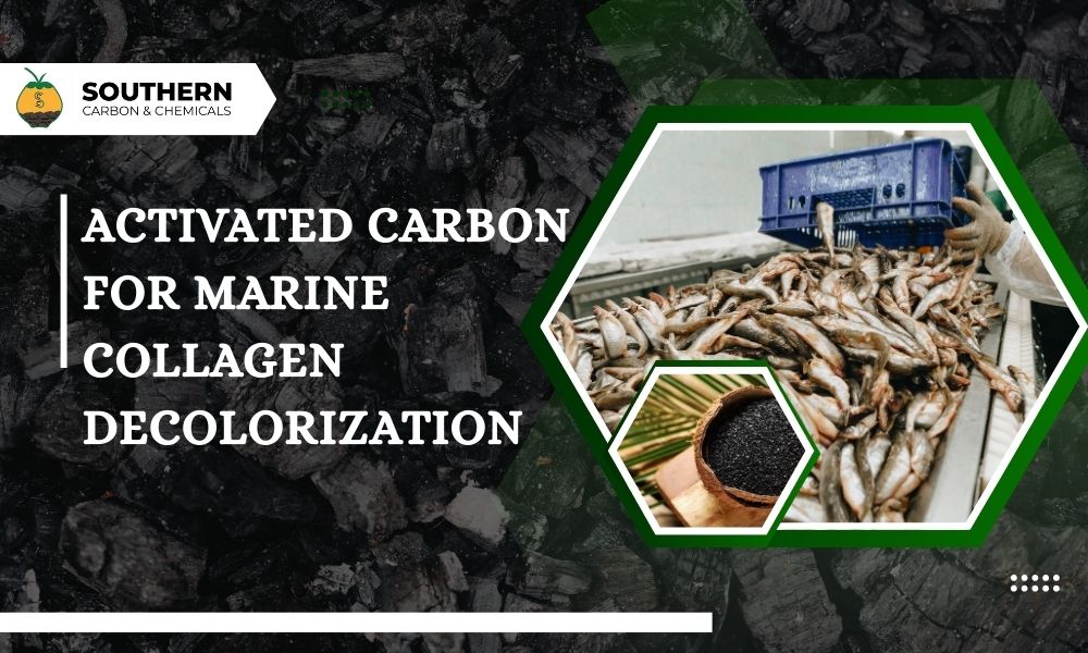 Activated Carbon for Marine Collagen Decolorization